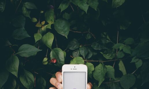 How to Repost on Instagram (Stories, Posts, Reels & More)