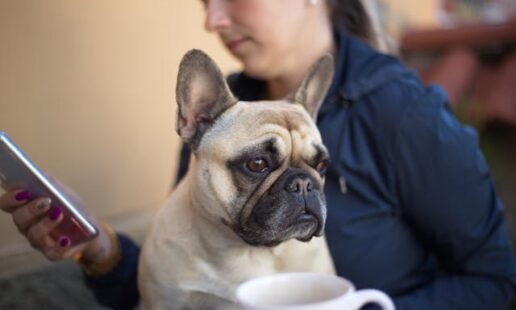 Can You Hide Who You Follow on Instagram? Privacy Options Explained